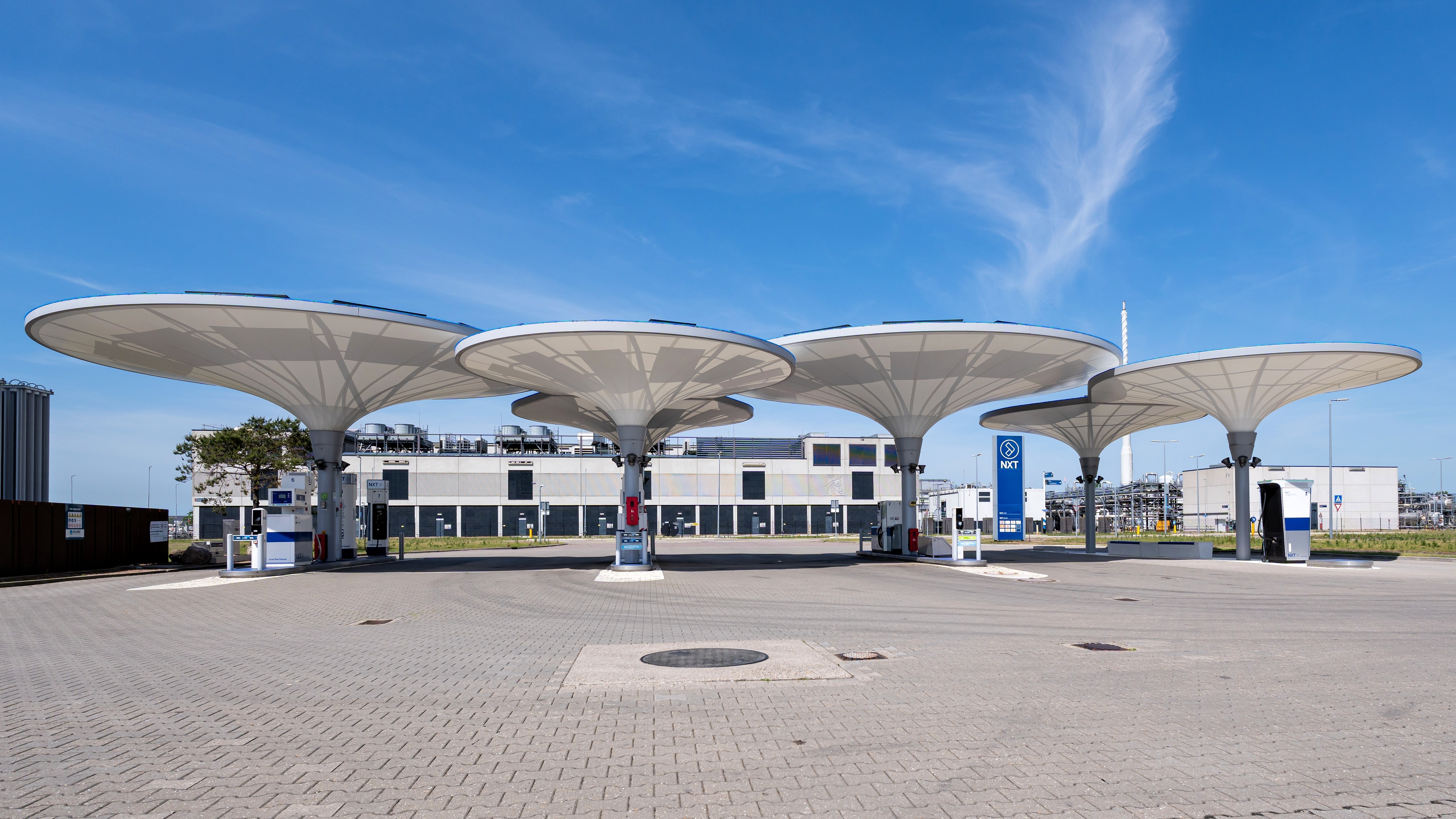 Foto: Bjoern Wylezich / Shutterstock.com