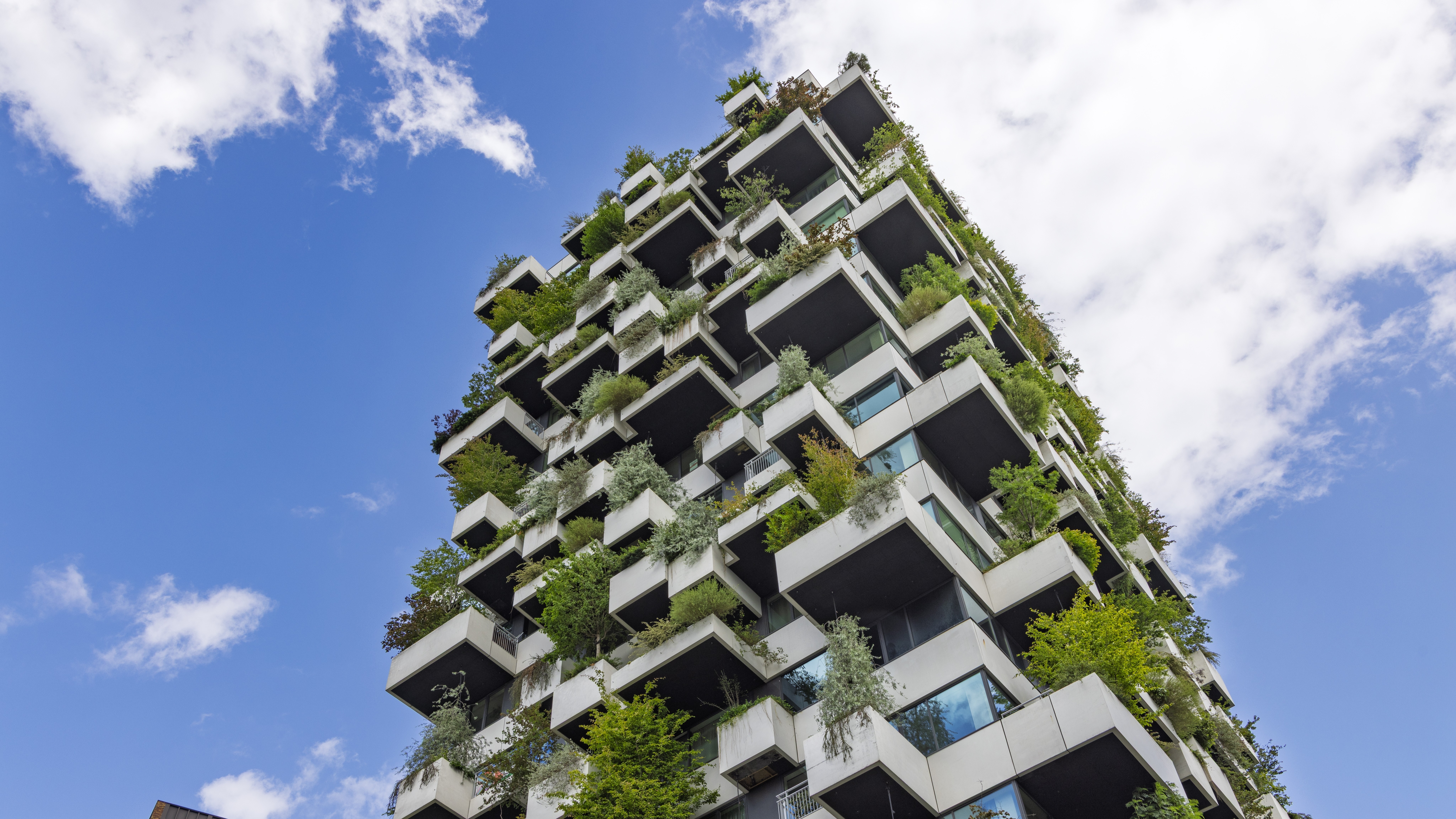 Foto: PixelBiss / Shutterstock.com
