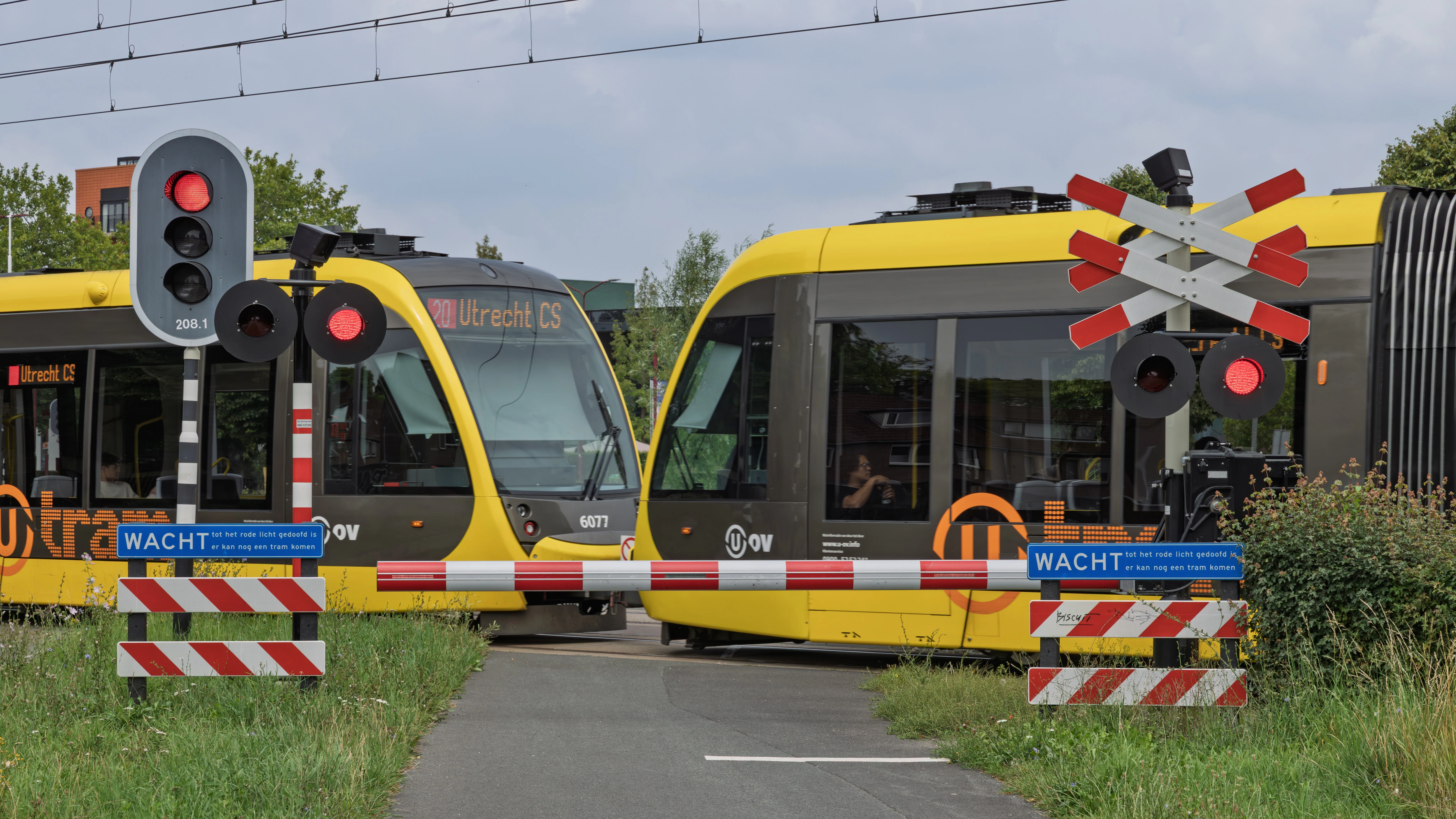 Foto: PixelBiss / Shutterstock.com