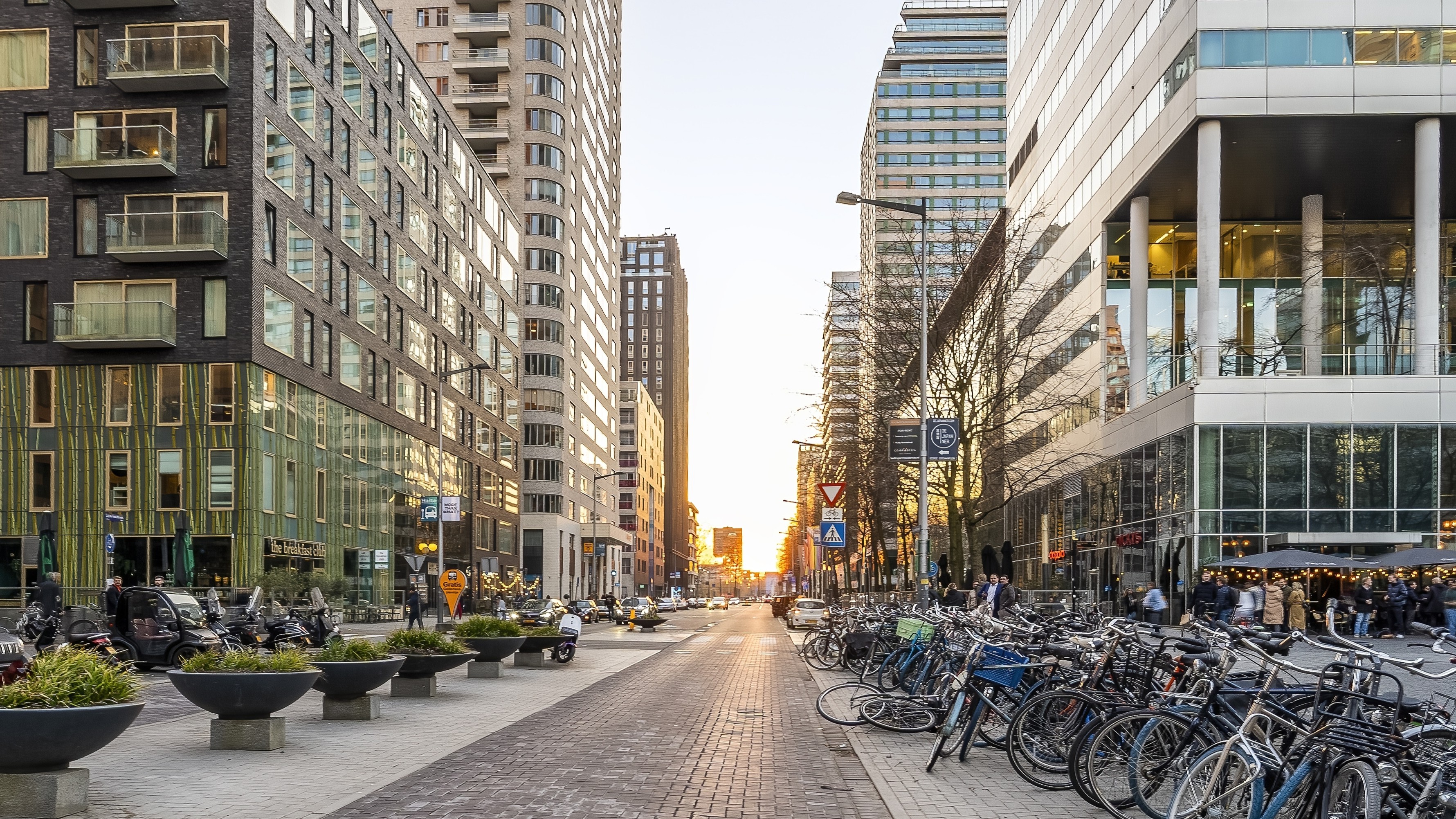 De Amsterdamse Zuidas, waar het houten kantoor Well House van kantorenbelegger NSI zou komen te staan. Beeld: DigitalPearls / Shutterstock