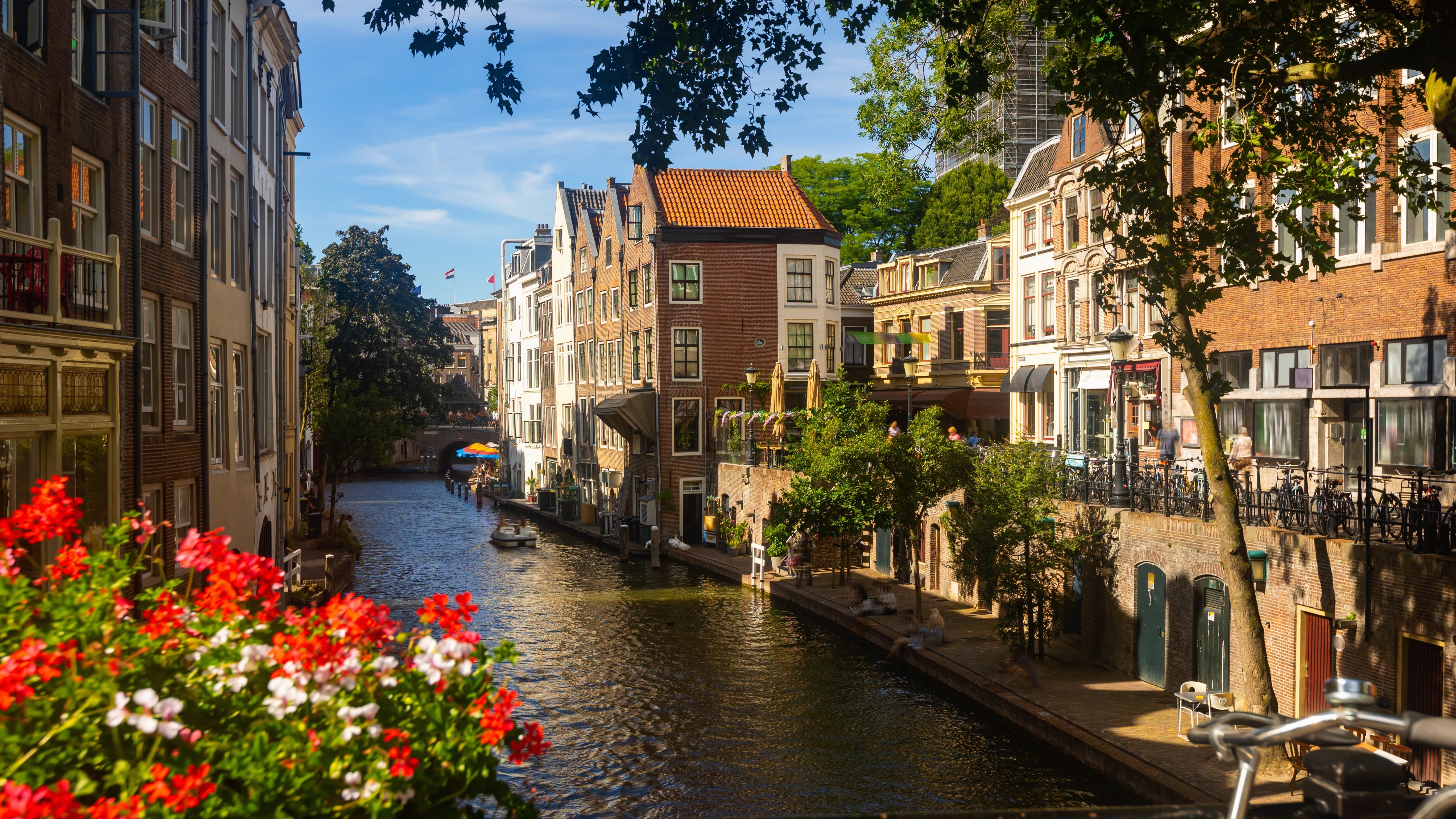 Foto: BearFotos / Shutterstock.com
