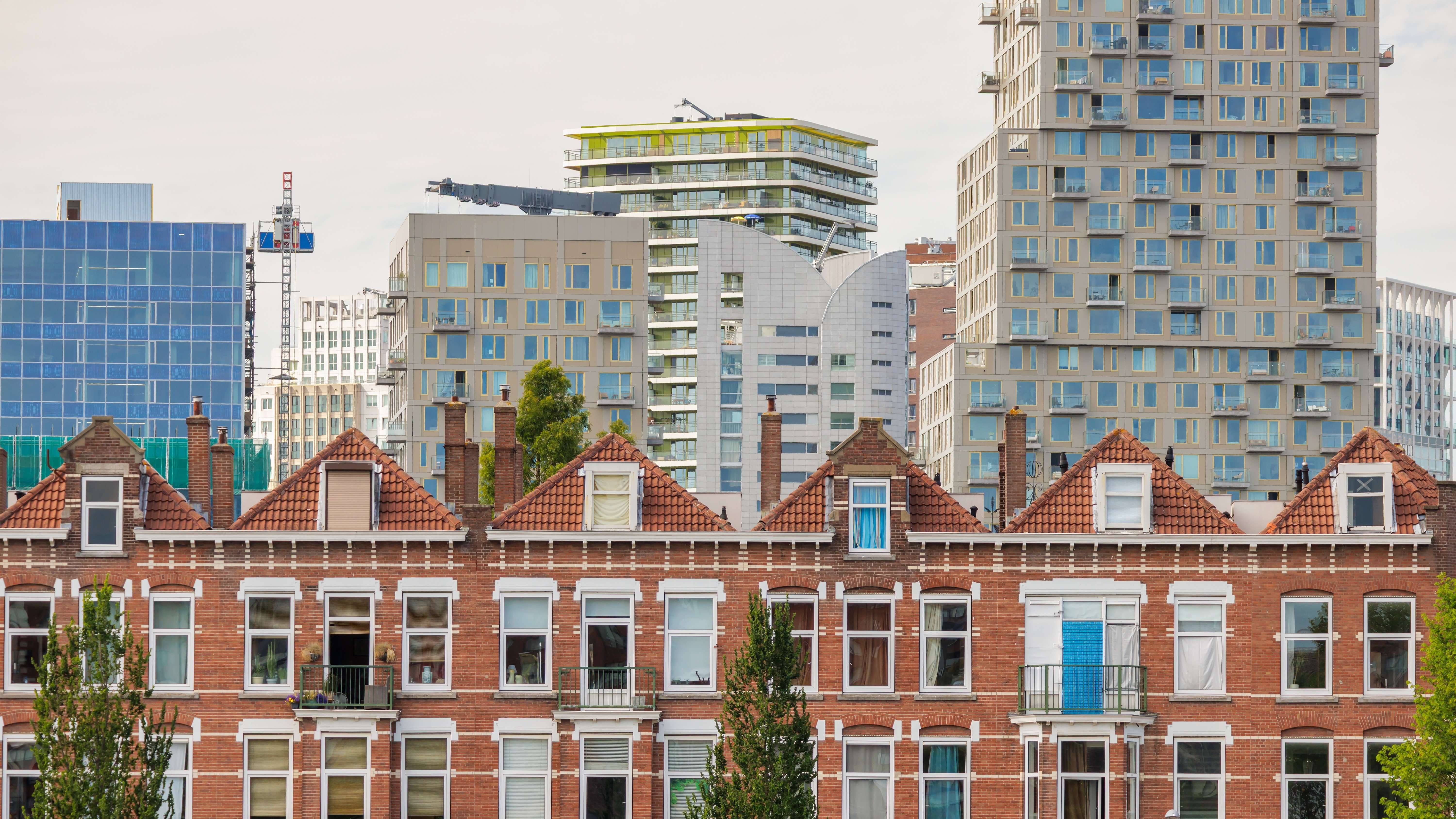 Foto: Martin Bergsma / Shutterstock.com